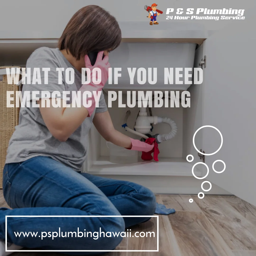 a lady calling for a plumber