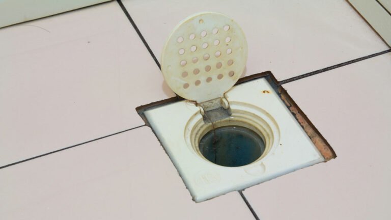 Signs You Need a Drain Cleaning Service